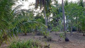 Land for sale in Maruyogon, Palawan