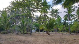 Land for sale in Maruyogon, Palawan