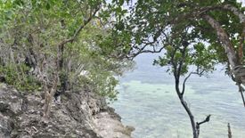 Land for sale in Danao, Bohol