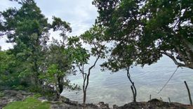 Land for sale in Danao, Bohol