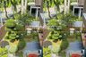 Cần bán villa 5 phòng ngủ tại Riviera Cove, Phước Long B, Quận 9, Hồ Chí Minh