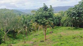 Land for sale in Bagumbayan, Laguna