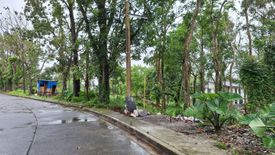 Land for sale in Tolentino West, Cavite
