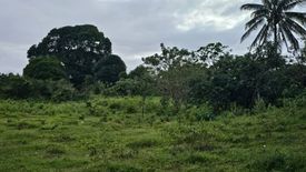 Land for sale in Minantok Silangan, Cavite