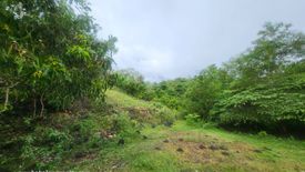 Land for sale in San Roque, Bohol