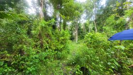Land for sale in San Roque, Bohol