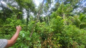 Land for sale in San Roque, Bohol