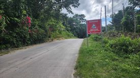 Land for sale in San Roque, Bohol