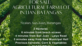 Land for sale in Quipot, Batangas