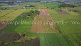Land for sale in Malatgao, Palawan