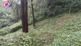 Land for sale in Tuding, Benguet