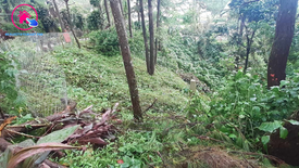 Land for sale in Tuding, Benguet