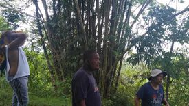 Land for sale in Nagbinlod, Negros Oriental