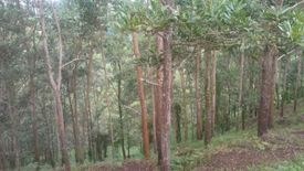 Land for sale in Nagbinlod, Negros Oriental