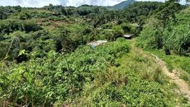 Land for sale in Dontogan, Benguet