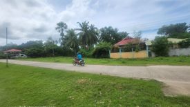 Land for sale in Bil-Isan, Bohol