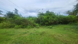Land for sale in Bil-Isan, Bohol