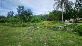 Land for sale in Bil-Isan, Bohol
