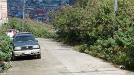 Land for sale in Pico, Benguet