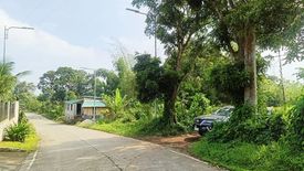 Commercial for sale in Amadeo, Cavite