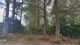 Land for sale in Camp 7, Benguet