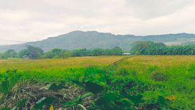 Land for sale in Dalig, Rizal