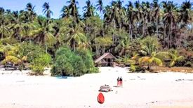 Land for sale in San Miguel, Palawan