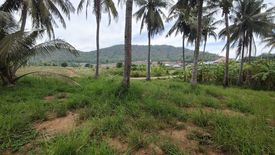 ขายที่ดิน ใน วังก์พง, ปราณบุรี