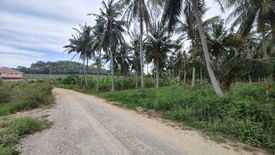 ขายที่ดิน ใน วังก์พง, ปราณบุรี