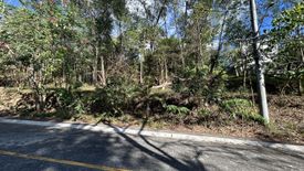 Land for sale in Dela Paz, Rizal