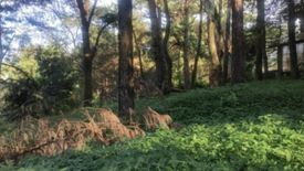 Land for sale in Camp 7, Benguet