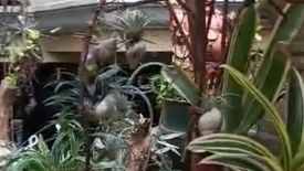 5 Bedroom House for sale in Culiat, Metro Manila