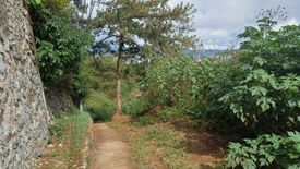 Land for sale in Pinsao Proper, Benguet