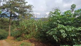 Land for sale in Pinsao Proper, Benguet