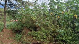 Land for sale in Pinsao Proper, Benguet