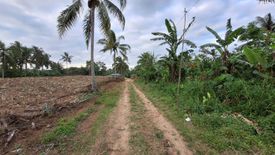 Land for sale in Mataas Na Burol, Cavite