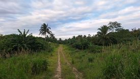 Land for sale in Mataas Na Burol, Cavite