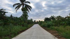 Land for sale in Mataas Na Burol, Cavite