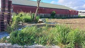 Commercial for sale in Pulong Santa Cruz, Laguna