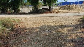 Land for sale in Dao, Bohol