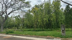 Land for sale in Promenade, Santo Domingo, Laguna