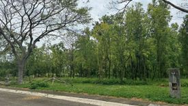 Land for sale in Promenade, Santo Domingo, Laguna