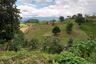 Land for sale in San Rafael, Bukidnon