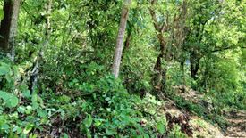 Land for sale in Don Tomas Maddela Poblacion, Nueva Vizcaya