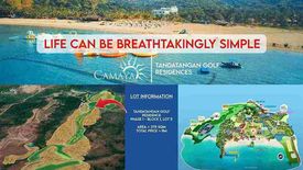 Land for sale in Biaan, Bataan