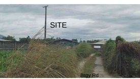Land for sale in San Nicolas Balas, Tarlac