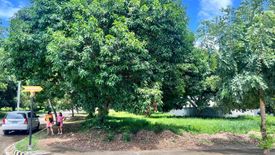 Land for sale in Limao, Davao del Norte