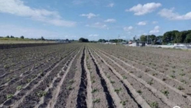 Land for sale in Manibaug Libutad, Pampanga