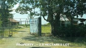 Land for sale in Concepcion, Nueva Ecija