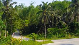 Land for sale in Baye, Cebu